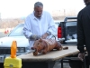 pig_roast_butcher_2